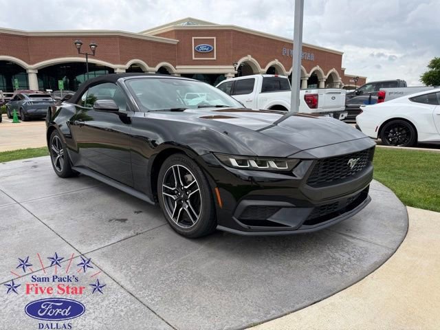 Used 2024 Ford Mustang Premium image 1