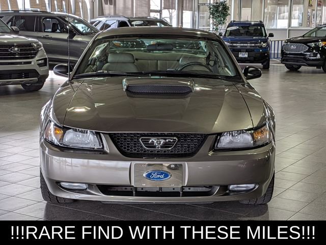 Used 2001 Ford Mustang GT image 3