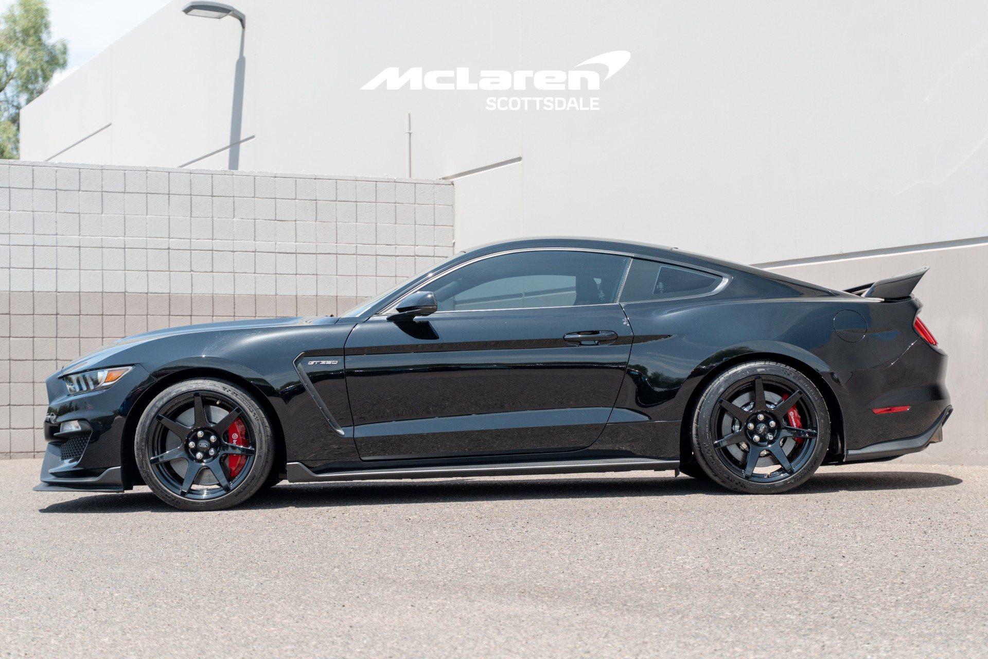 Used 2019 Ford Mustang Shelby GT350R w/ GT350R Equipment Group 920A RWD image 4