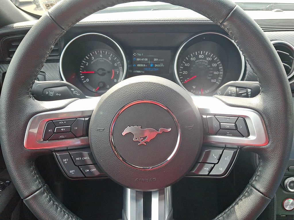 Used 2023 Ford Mustang EcoBoost w/ Mustang Nite Pony Package image 18