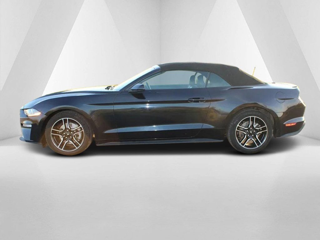 Used 2023 Ford Mustang Premium image 4