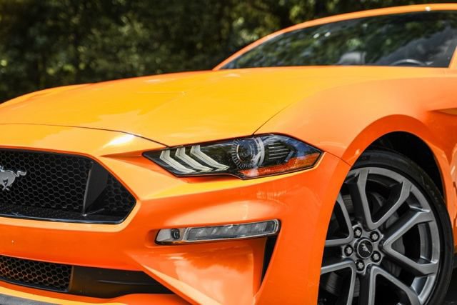 Used 2018 Ford Mustang GT Premium w/ Equipment Group 401A RWD image 4