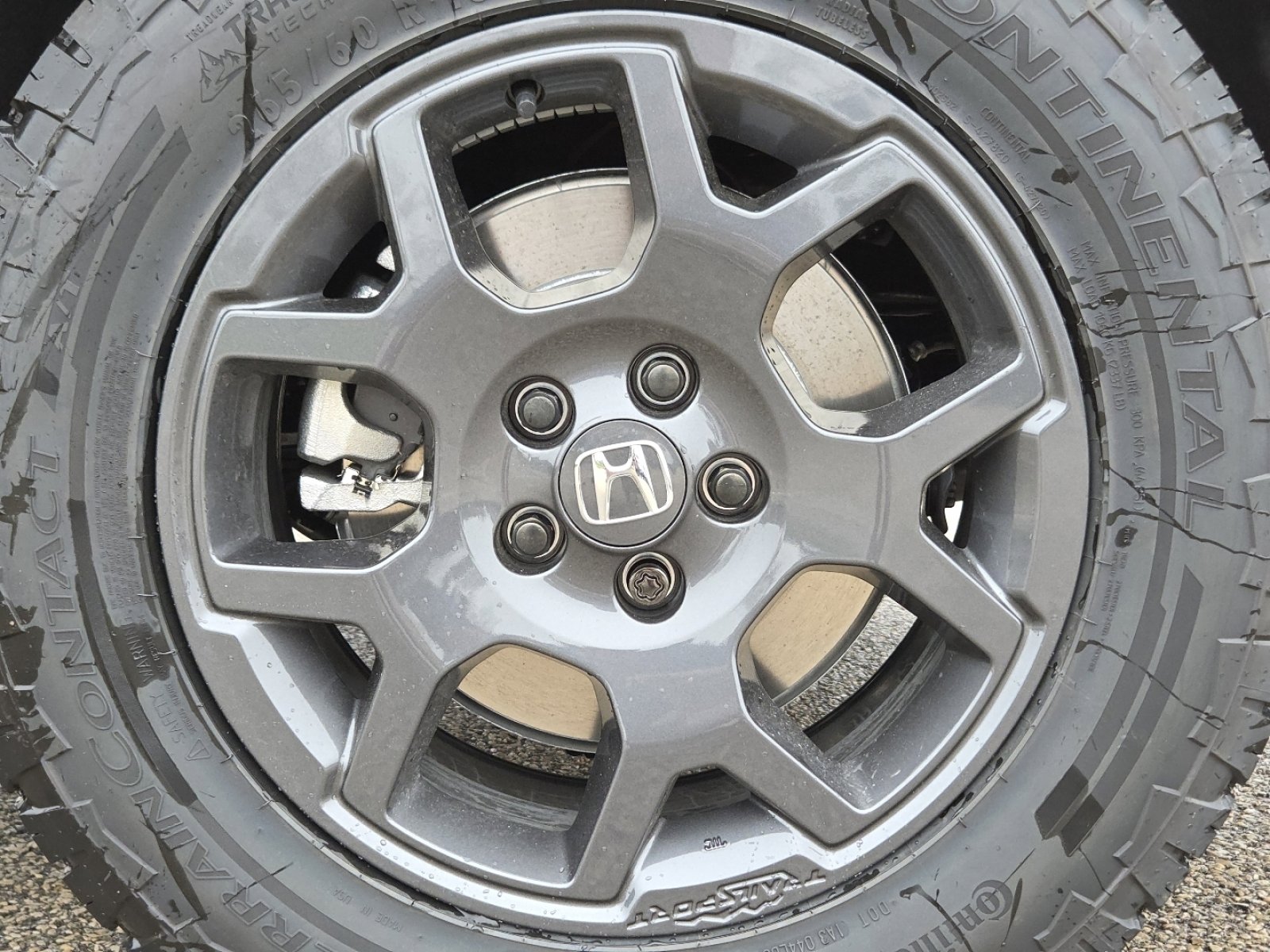 New 2026 Honda Pilot TrailSport image 14