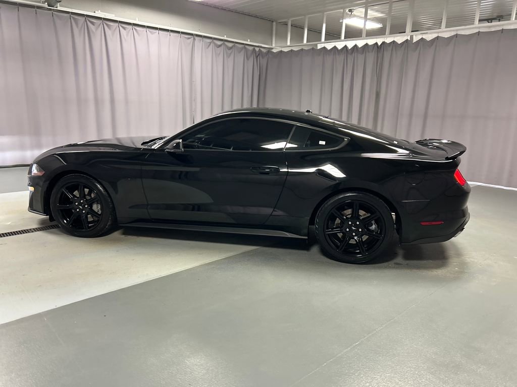 Used 2019 Ford Mustang GT Premium w/ Equipment Group 401A image 4