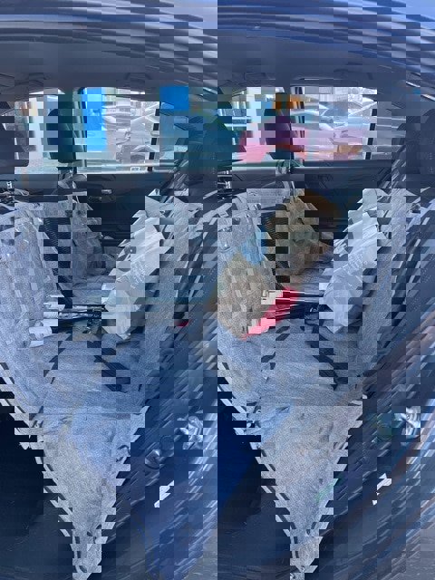 Used 2013 Honda Accord Sport image 9