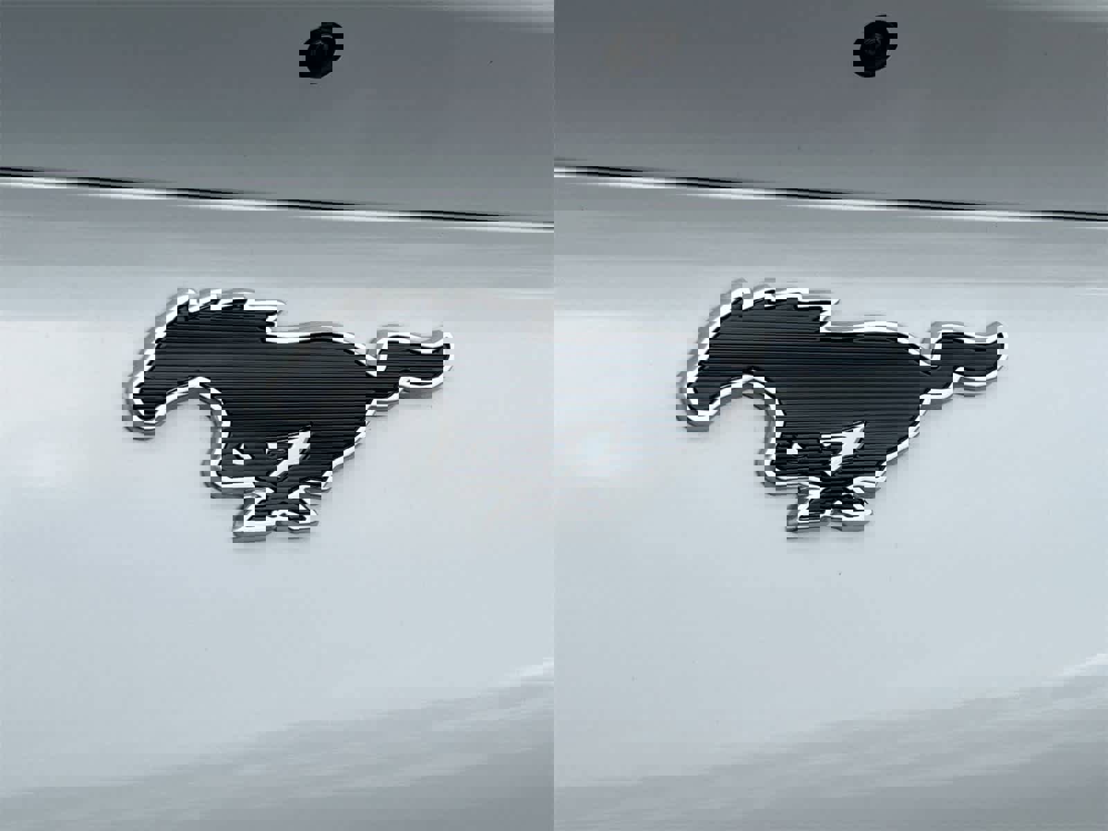 Used 2021 Ford Mustang Mach-E Premium w/ Interior Protection Package image 12