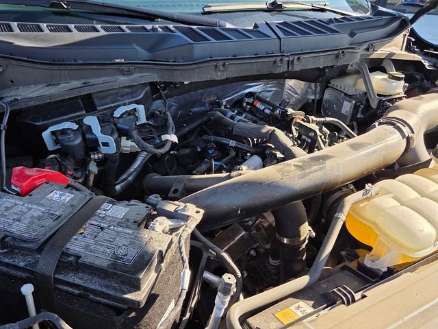 Used 2025 Ford F150 XLT w/ Equipment Group 301A Standard image 25