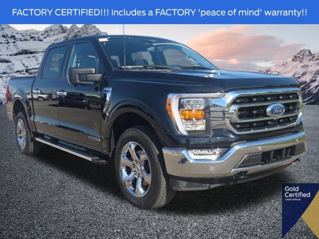 Used 2023 Ford F150 XLT w/ Equipment Group 302A High