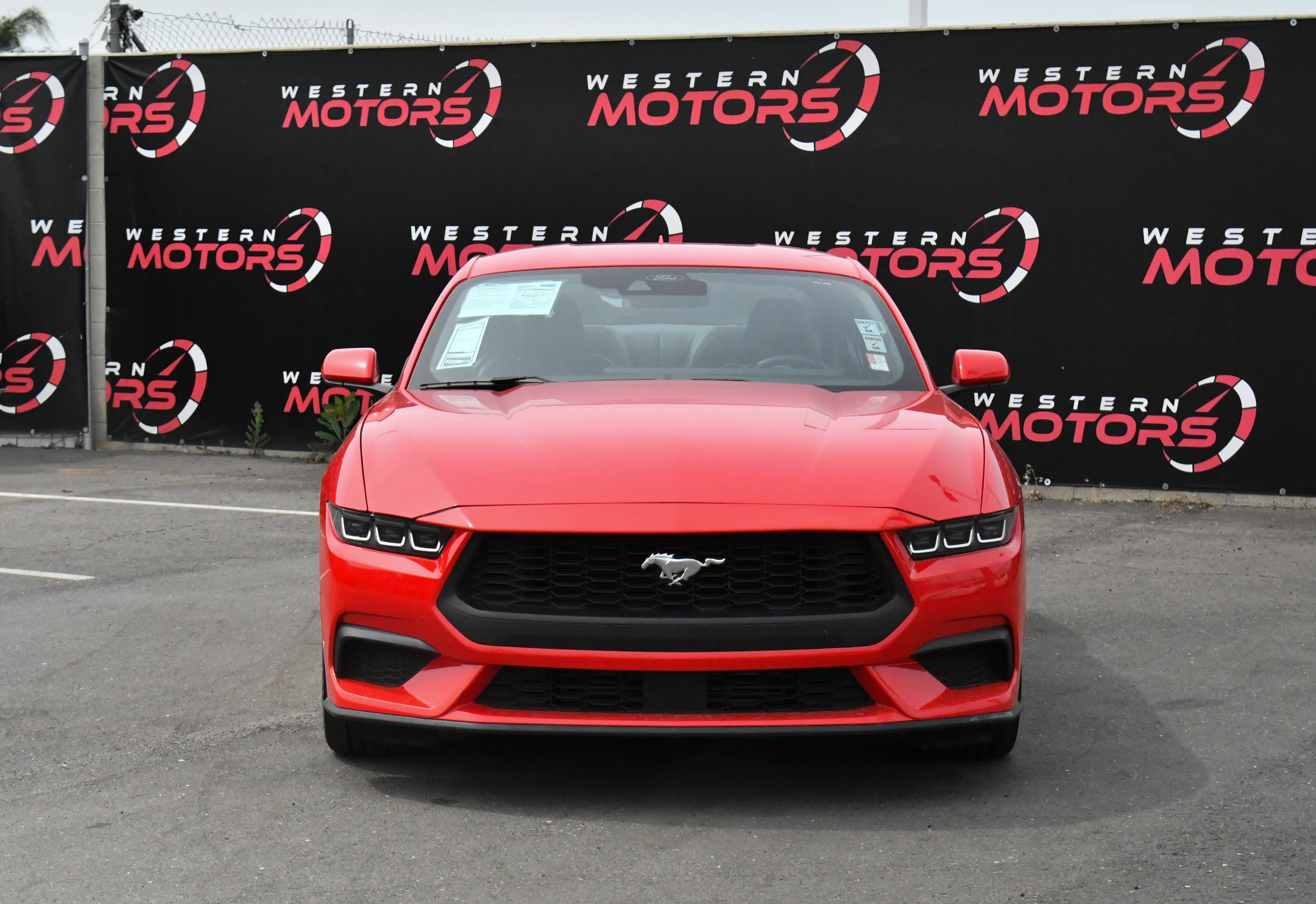 Used 2024 Ford Mustang Premium RWD image 2