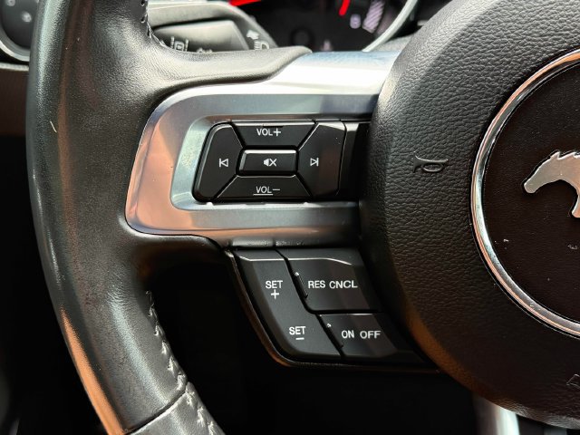 Used 2021 Ford Mustang GT w/ Equipment Group 301A RWD image 17