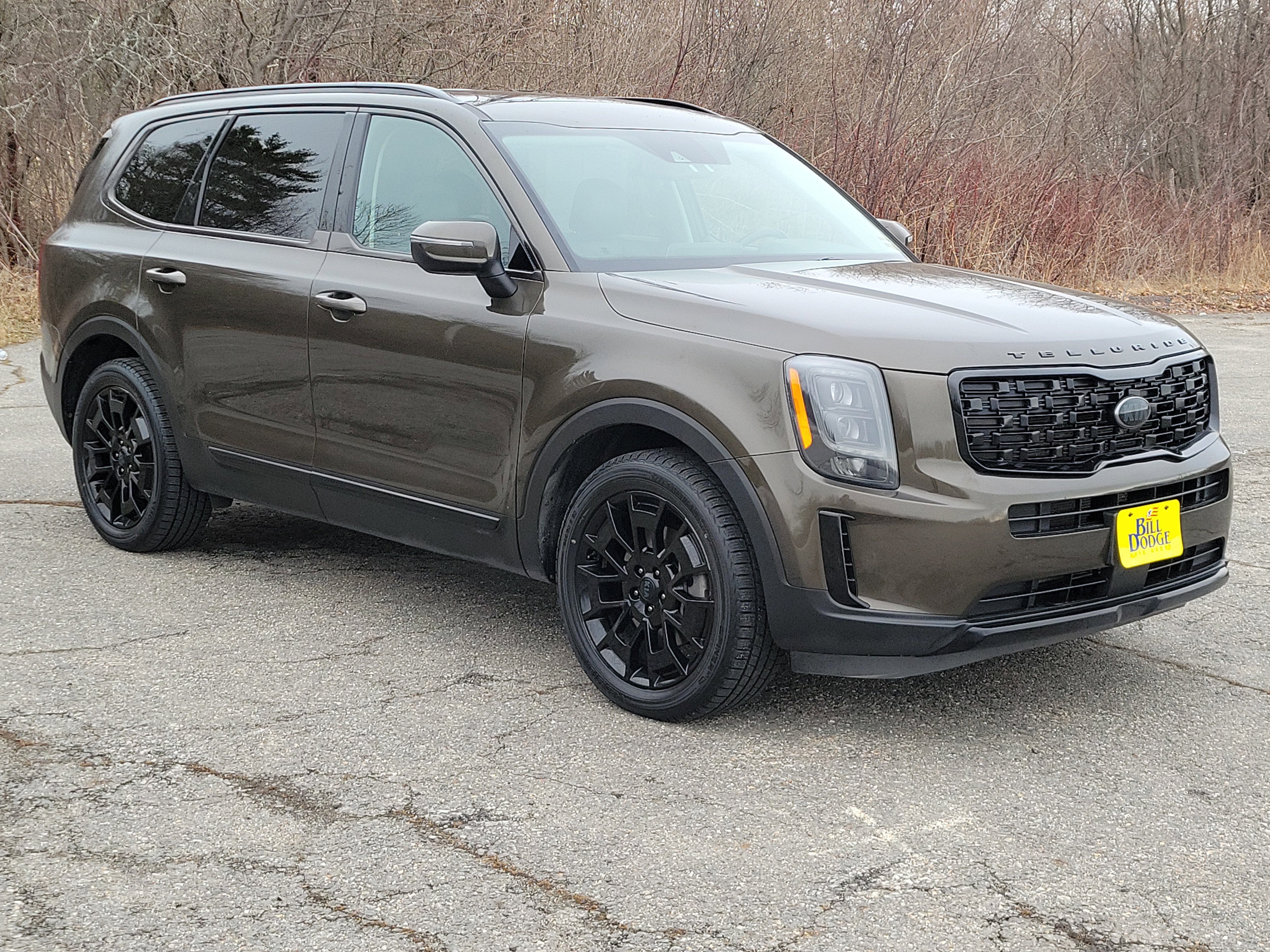 Used 2021 Kia Telluride EX w/ EX Premium Package image 3