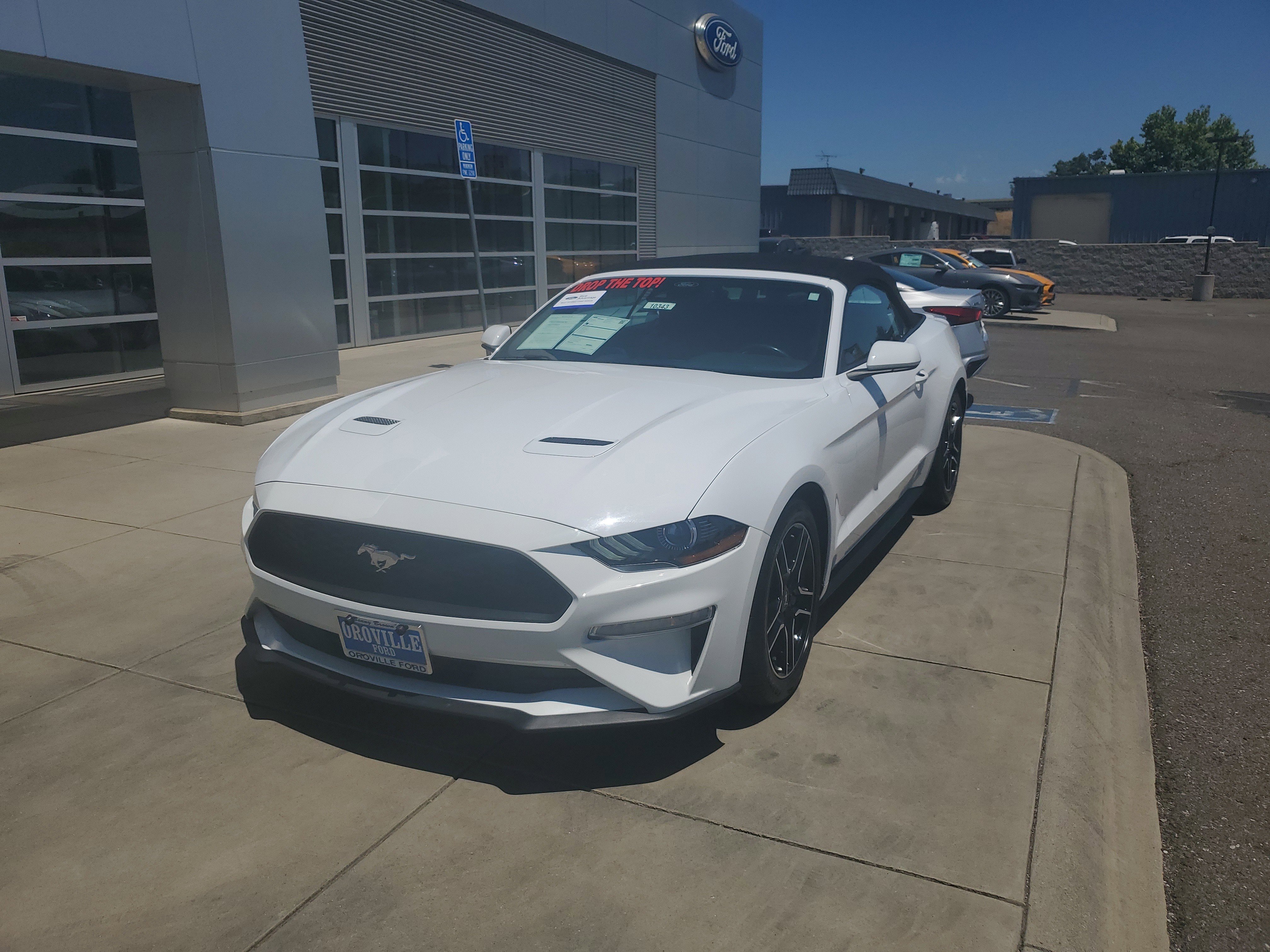 Used 2023 Ford Mustang Premium image 1