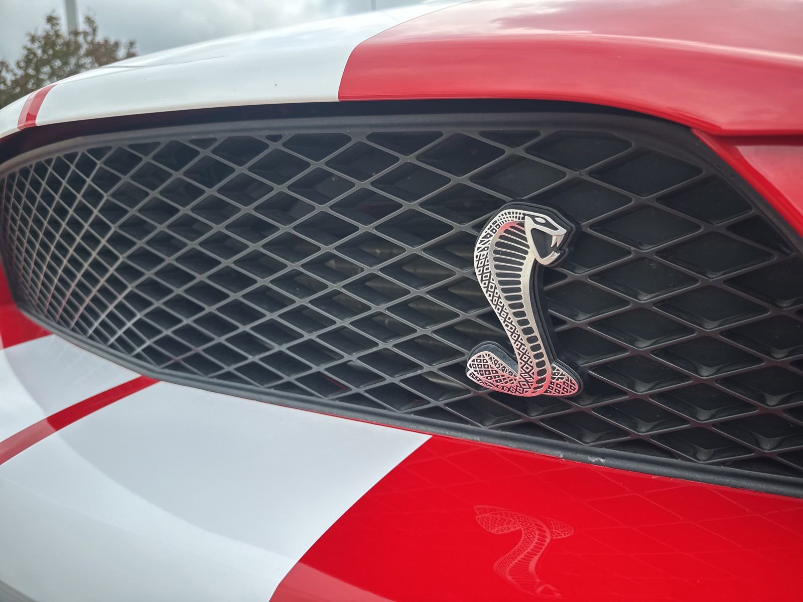 Used 2007 Ford Mustang Shelby GT500 RWD image 13