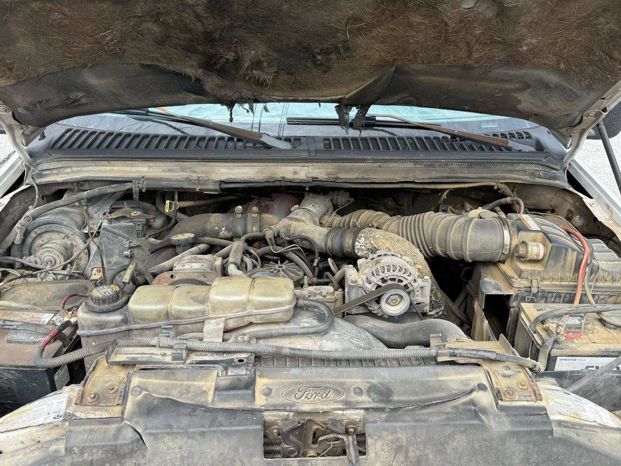 Used 2000 Ford F550 2WD Regular Cab Super Duty image 13