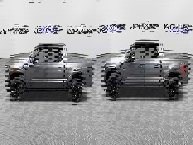 New 2026 Ford F150 Platinum w/ Equipment Group 702A High image 4