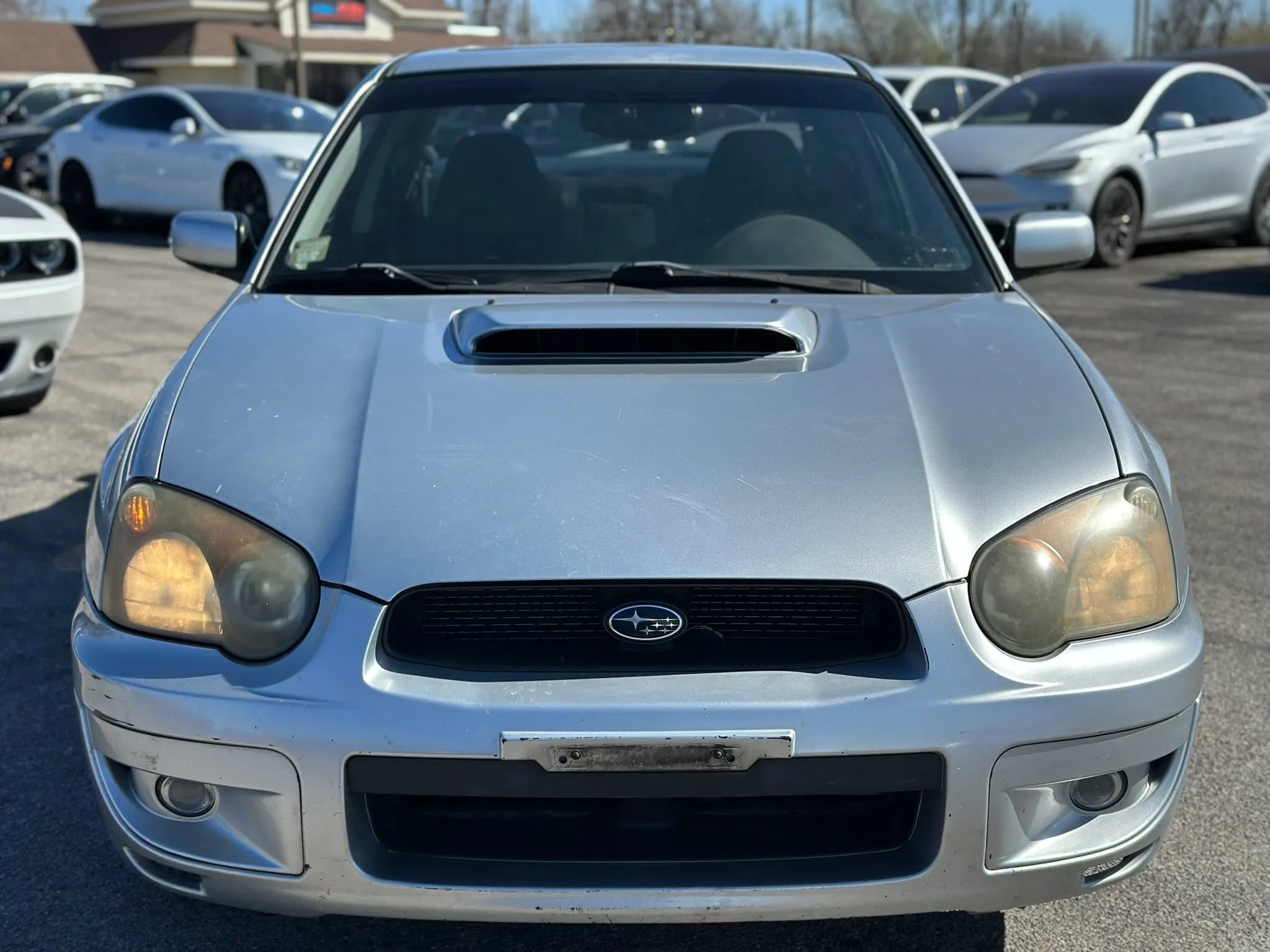 Used 2005 Subaru Impreza WRX Sedan AWD/4WD image 3