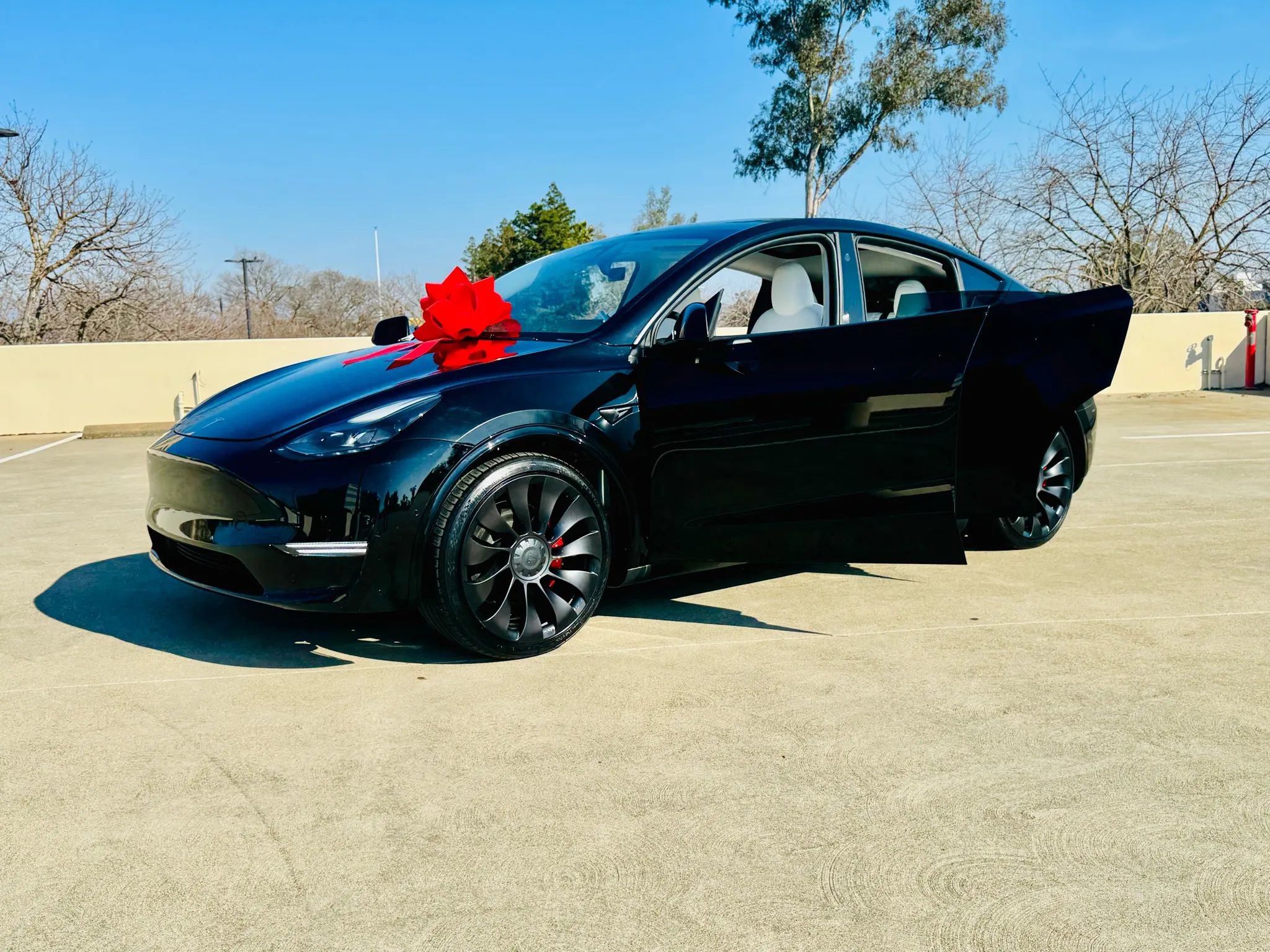 Used 2023 Tesla Model Y Performance image 12