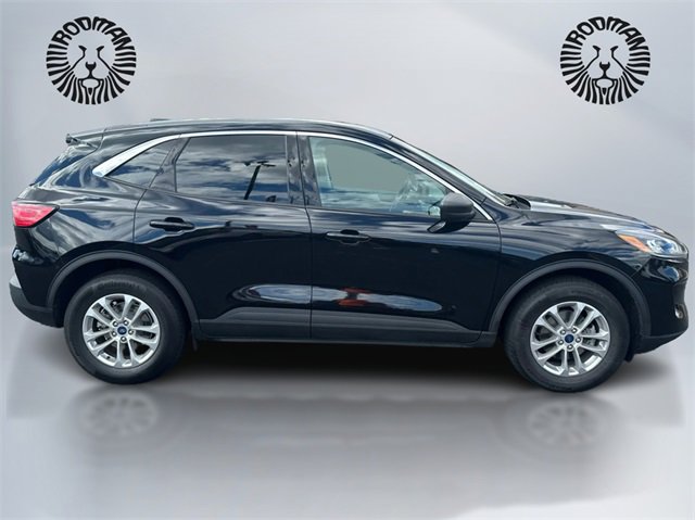 Used 2022 Ford Escape SE w/ Convenience Package image 4