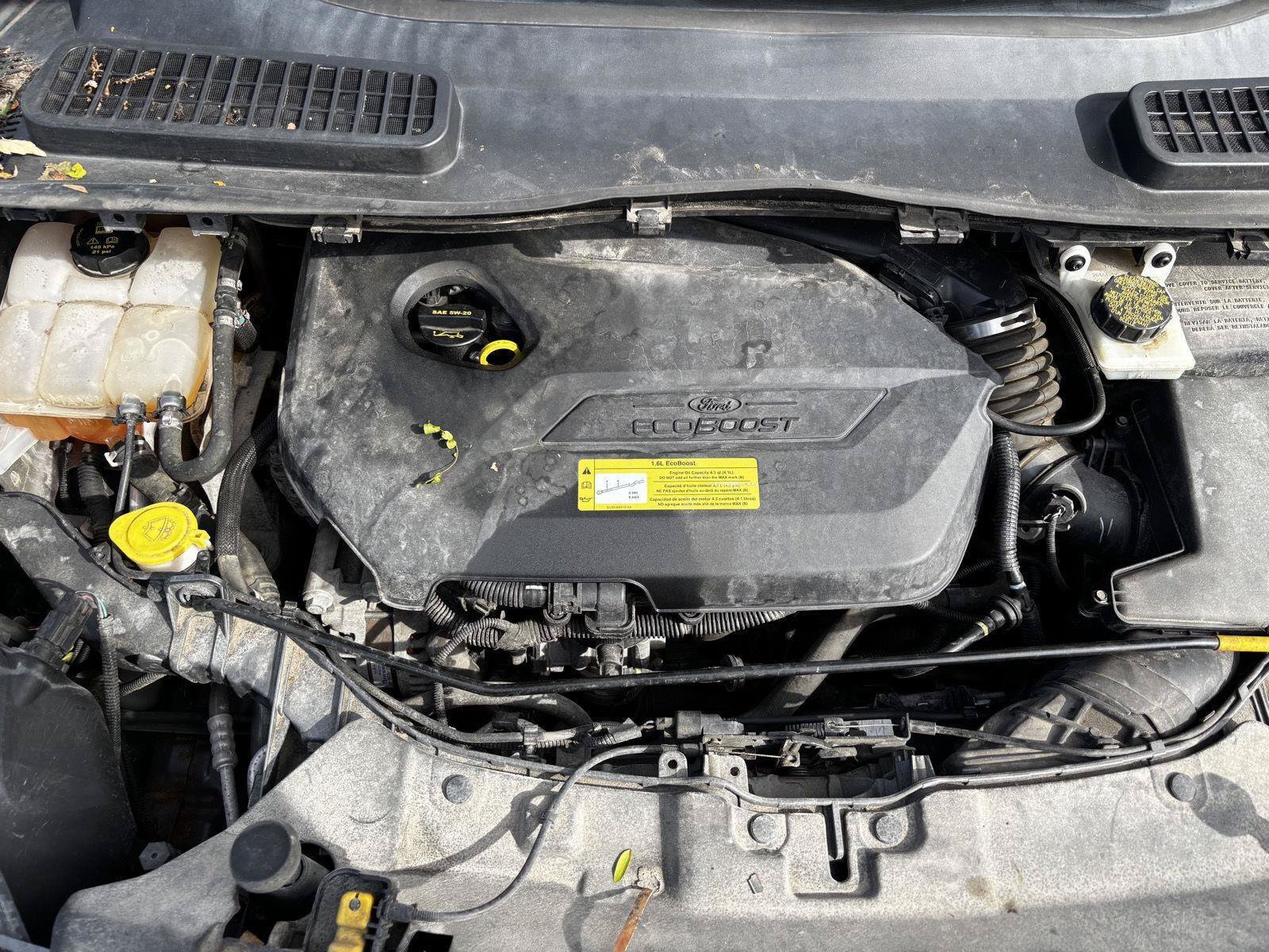 Used 2014 Ford Escape SE w/ Equipment Group 201A FWD image 33