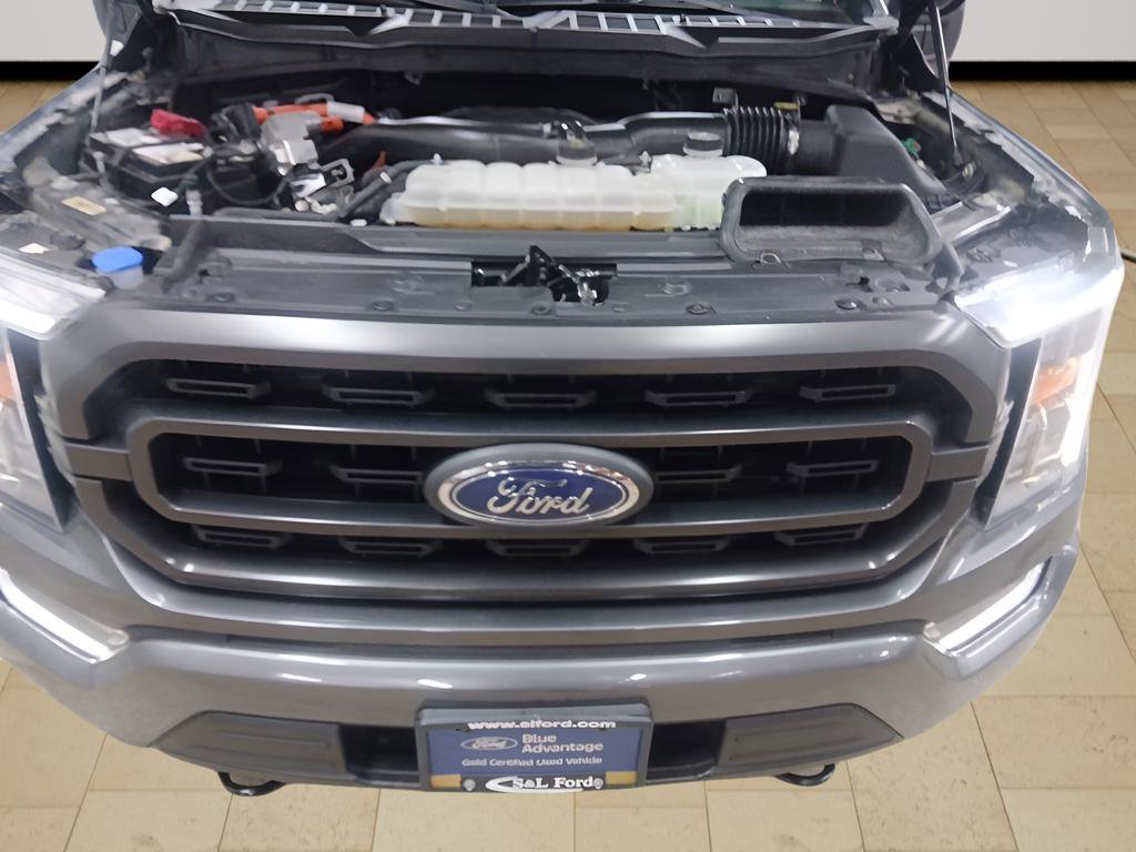 Certified 2023 Ford F150 XLT w/ Equipment Group 302A High image 10