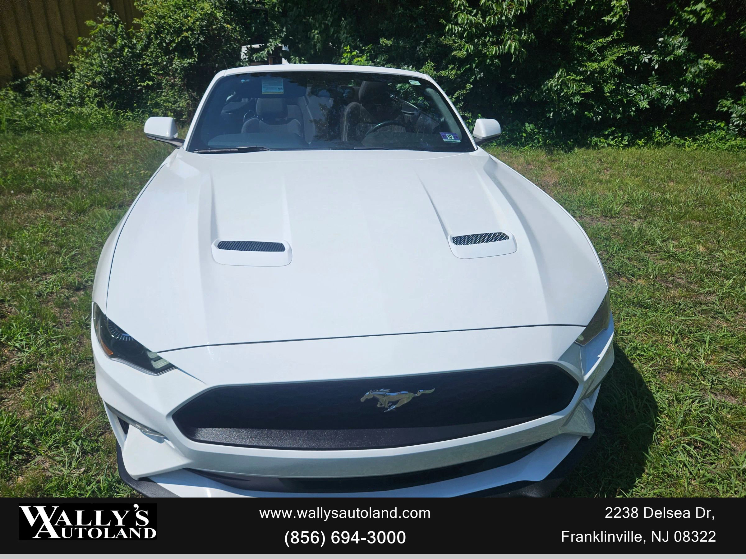 Used 2019 Ford Mustang Convertible image 8