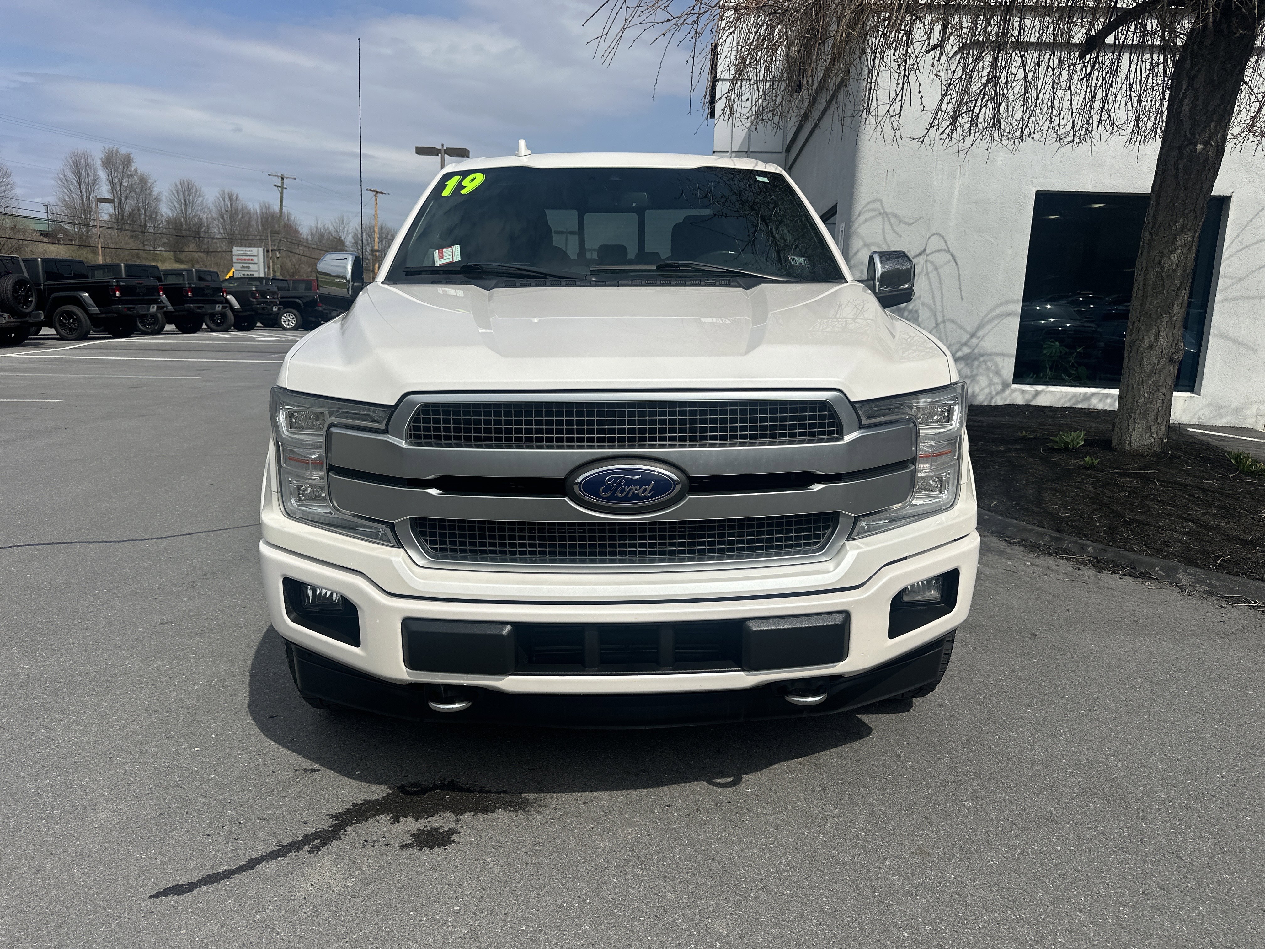 Used 2019 Ford F150 Platinum image 8