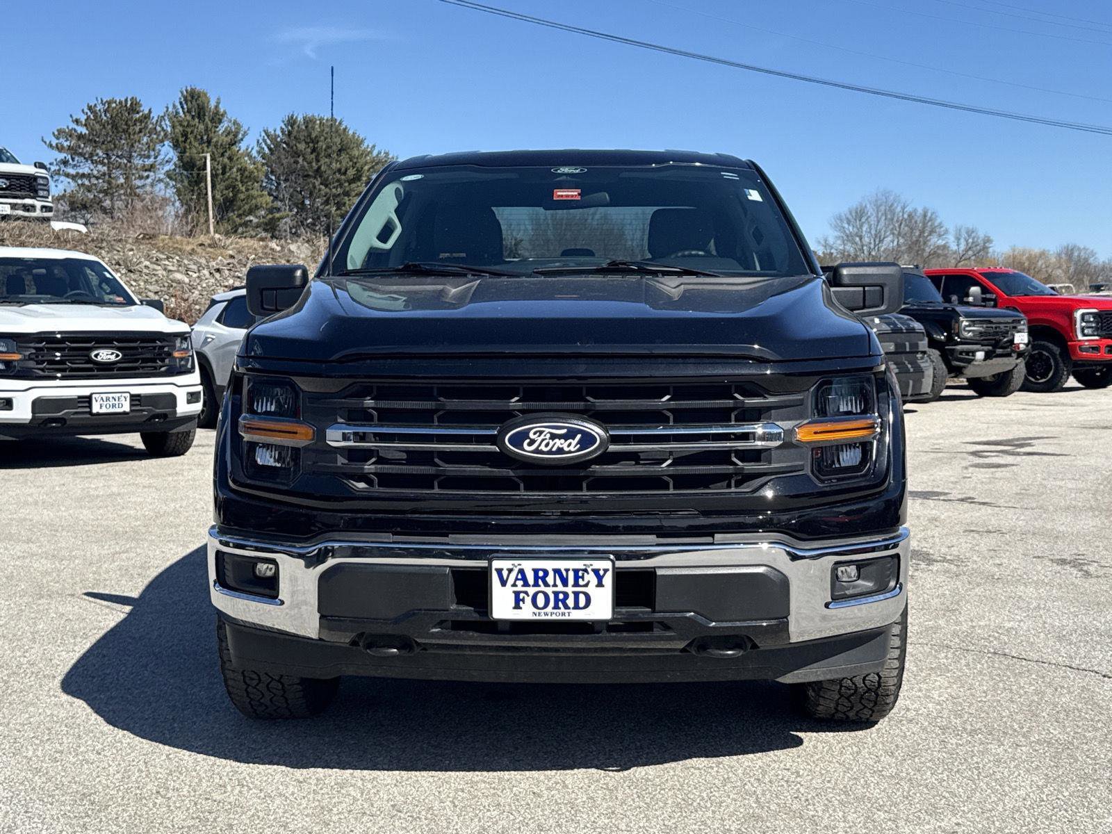 Used 2025 Ford F150 XLT w/ Equipment Group 301A Standard image 2