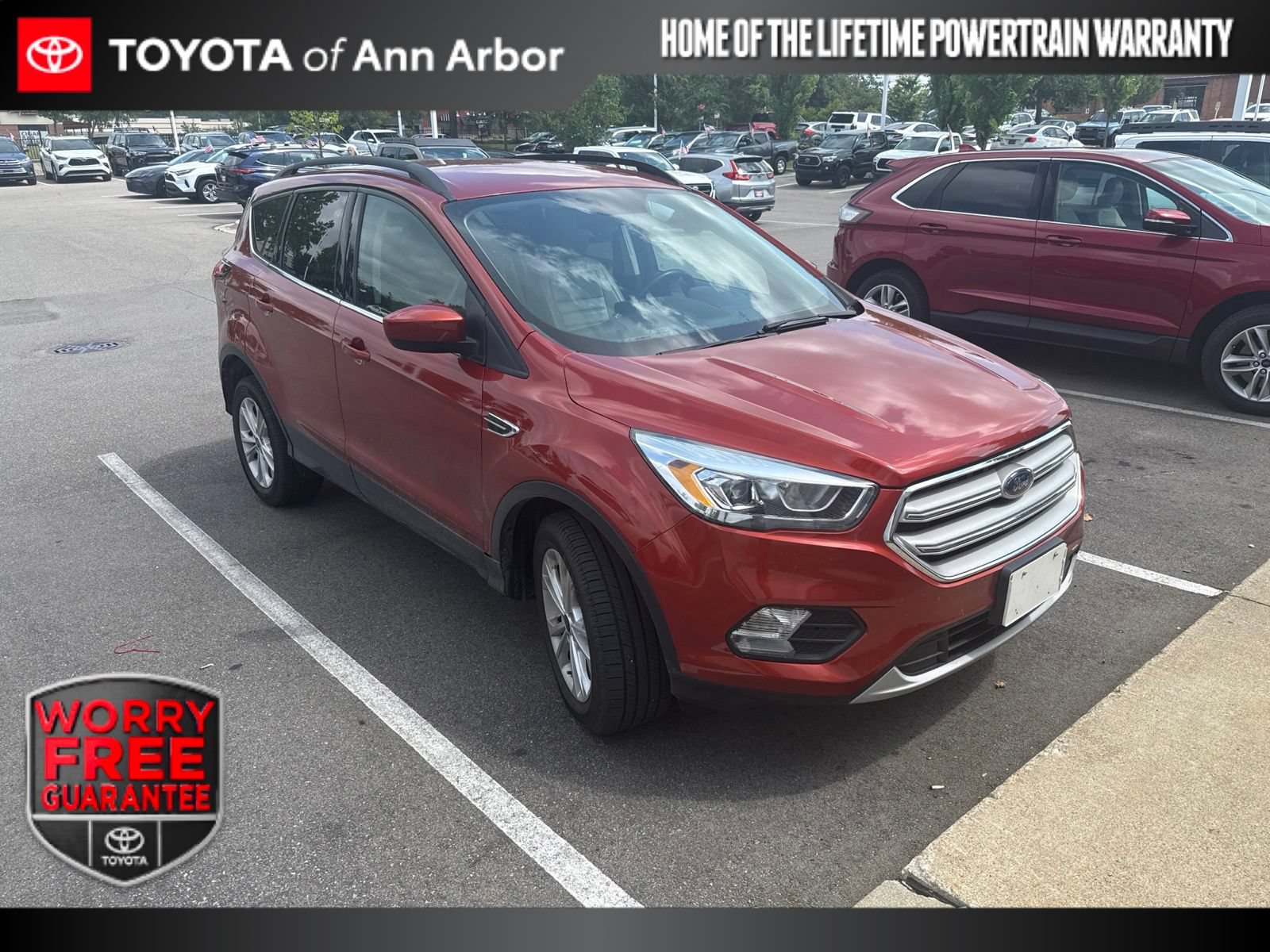 Used 2019 Ford Escape SEL