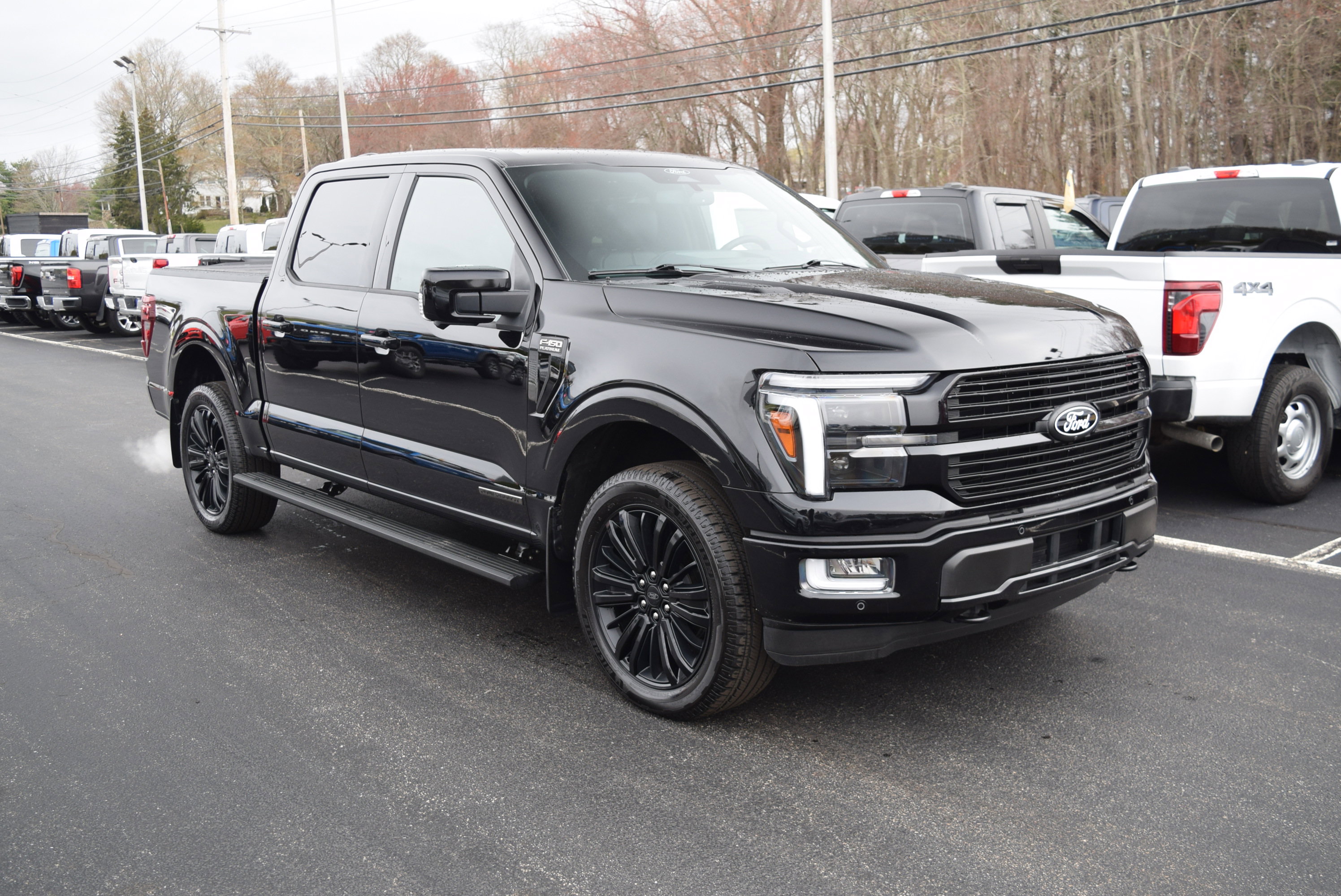 Used 2025 Ford F150 Platinum w/ Equipment Group 702A High