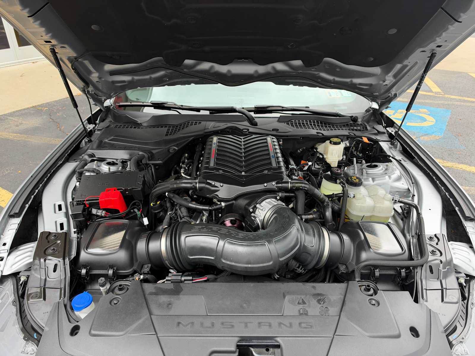 Used 2024 Ford Mustang GT Premium RWD image 6
