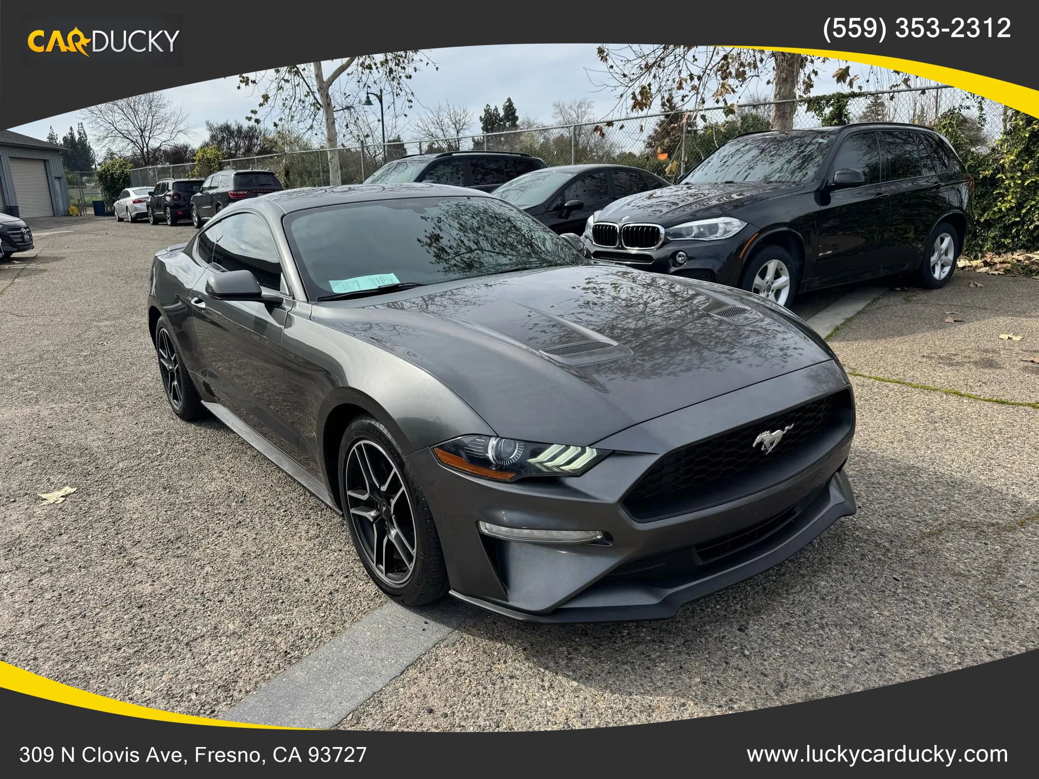 Used 2018 Ford Mustang Coupe w/ Equipment Group 101A image 3