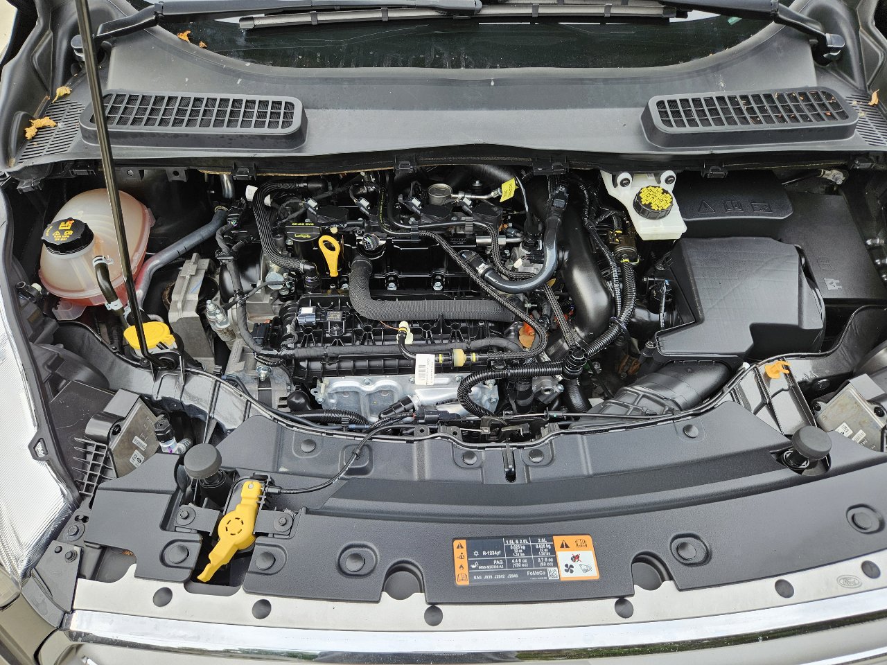 Used 2019 Ford Escape SEL image 36