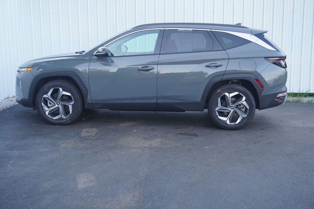 Used 2024 Hyundai Tucson Limited image 3