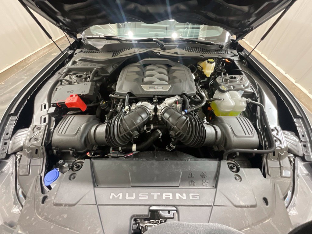 Used 2026 Ford Mustang GT Premium w/ Mustang Nite Pony Package RWD image 9