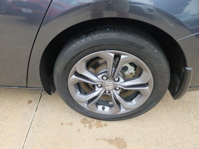 Used 2025 Honda Accord EX-L image 9