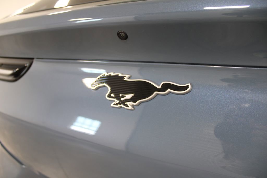 New 2024 Ford Mustang Mach-E Select w/ Comfort Package Lite image 13
