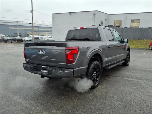 Used 2024 Ford F150 STX w/ STX Black Appearance Package image 7