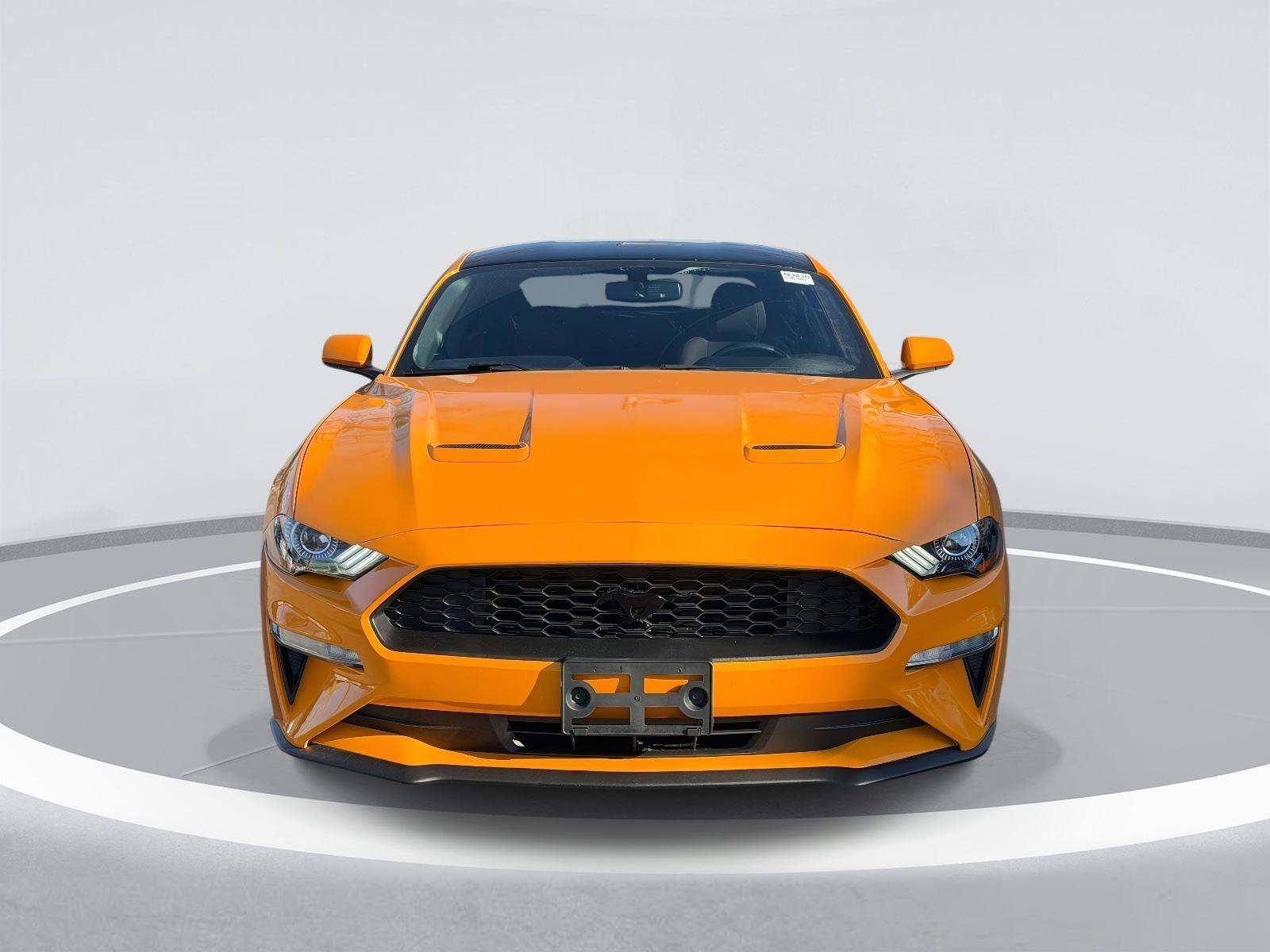 Used 2019 Ford Mustang Coupe w/ Black Accent Package image 2