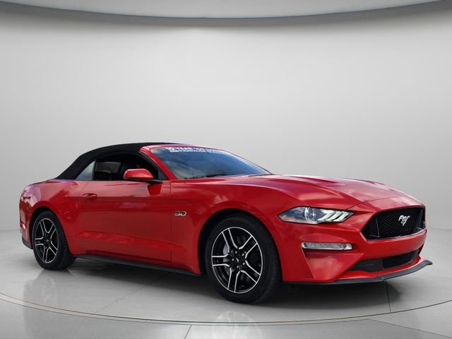 Used 2019 Ford Mustang GT Premium w/ Equipment Group 401A RWD image 9
