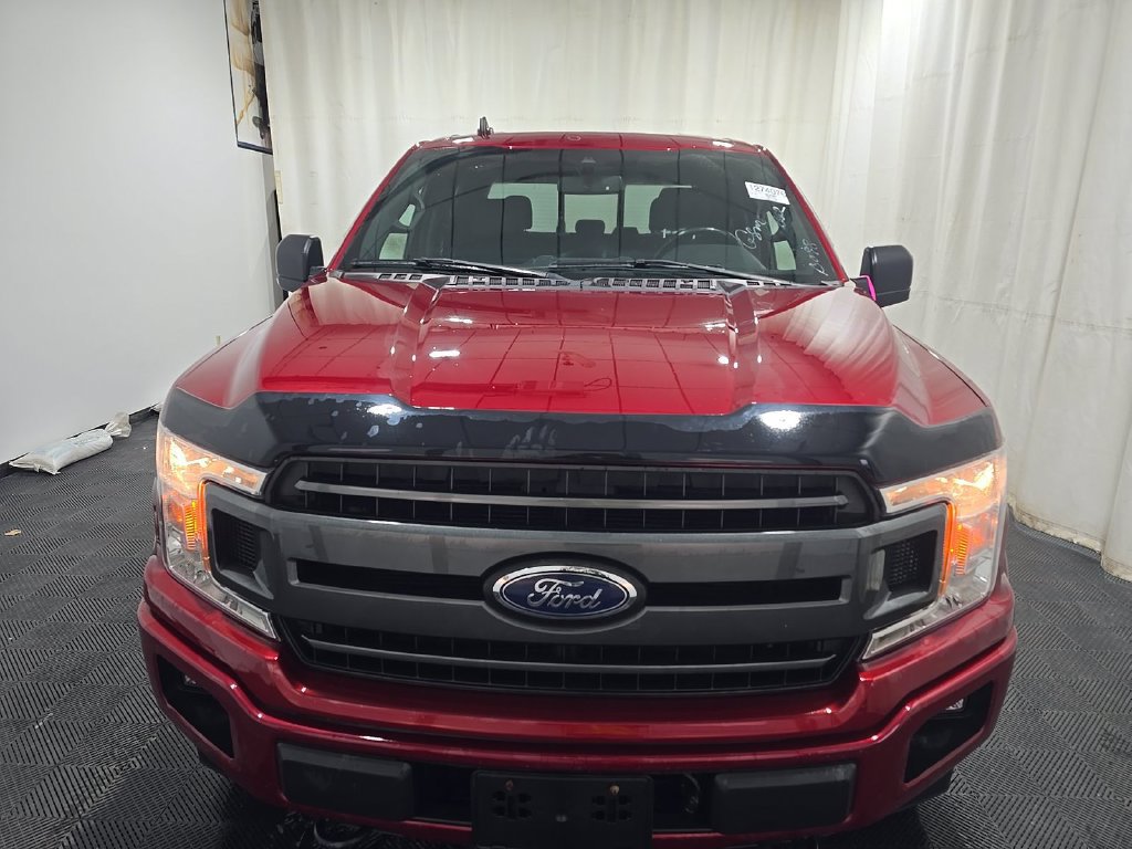 Used 2019 Ford F150 XLT w/ Equipment Group 302A Luxury AWD/4WD image 2