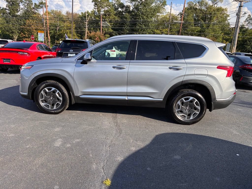 Used 2023 Hyundai Santa Fe Blue AWD/4WD image 4