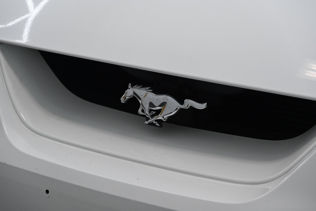 Used 1999 Ford Mustang Cobra image 11