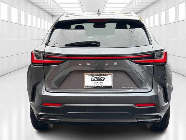 Certified 2023 Lexus NX 250 AWD image 6