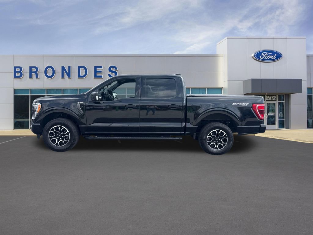 Used 2023 Ford F150 XLT w/ Equipment Group 302A High image 1