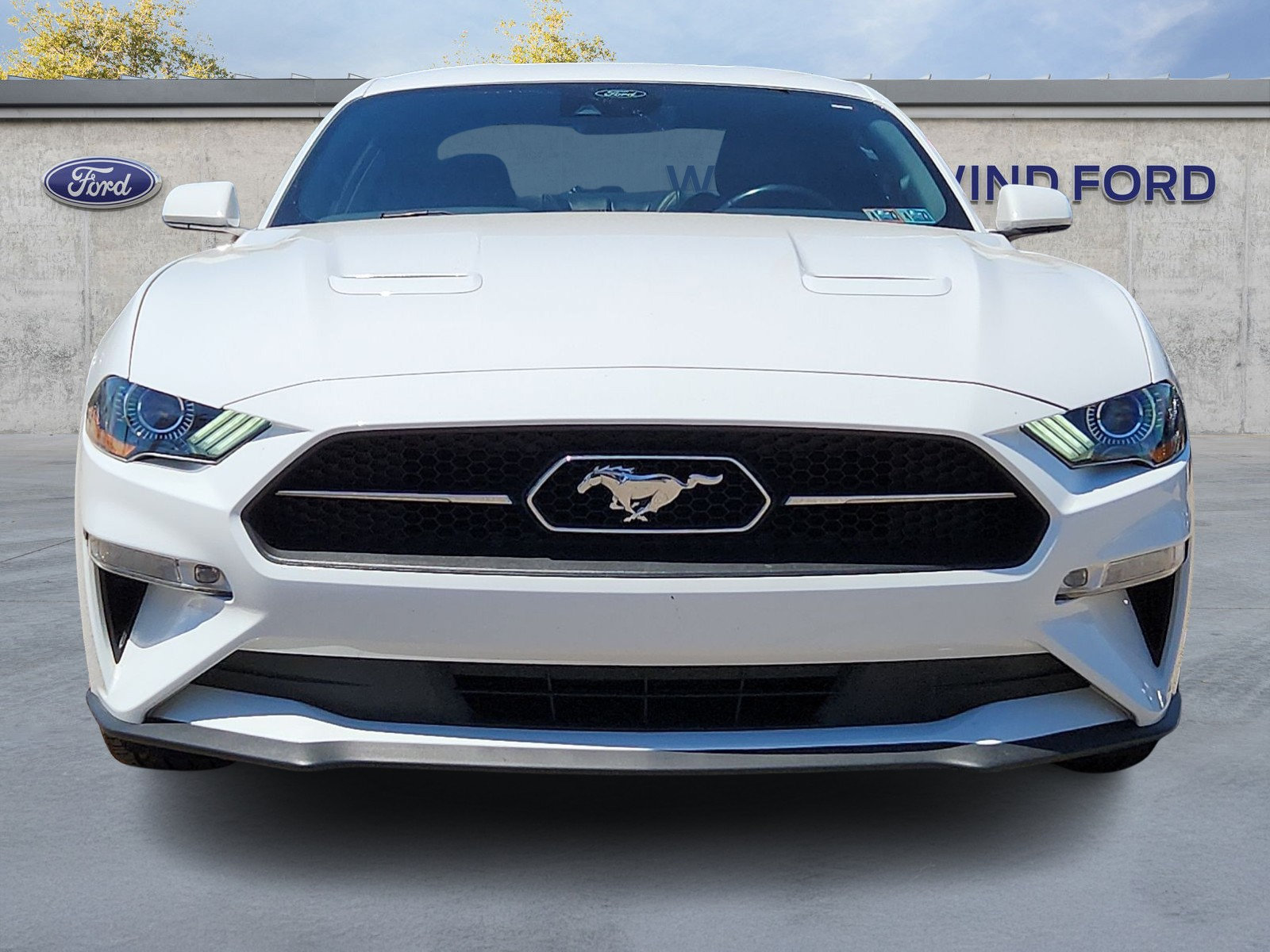 Used 2021 Ford Mustang Premium w/ Pony Package RWD image 2