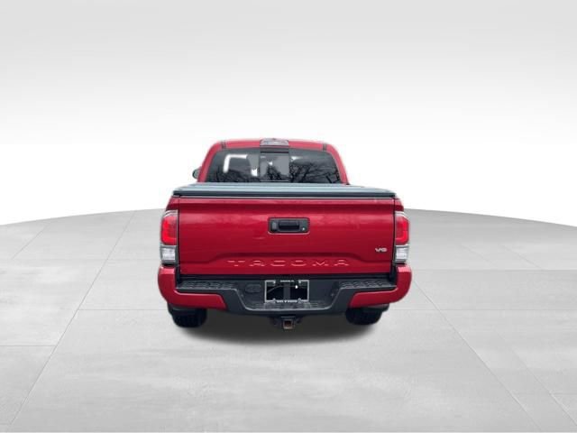 Used 2021 Toyota Tacoma TRD Sport AWD/4WD image 4