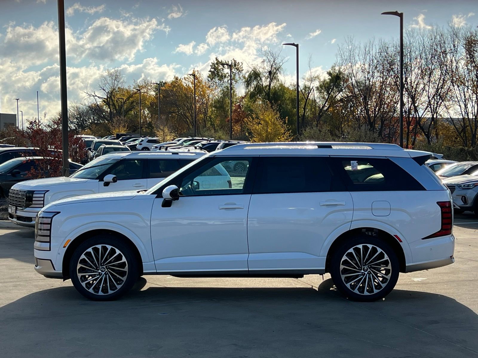 New 2026 Hyundai Palisade Calligraphy image 6