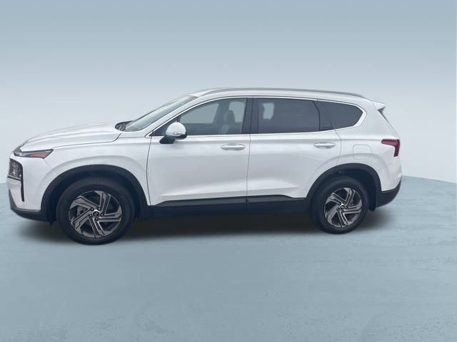 Used 2023 Hyundai Santa Fe SEL w/ Cargo Package image 4