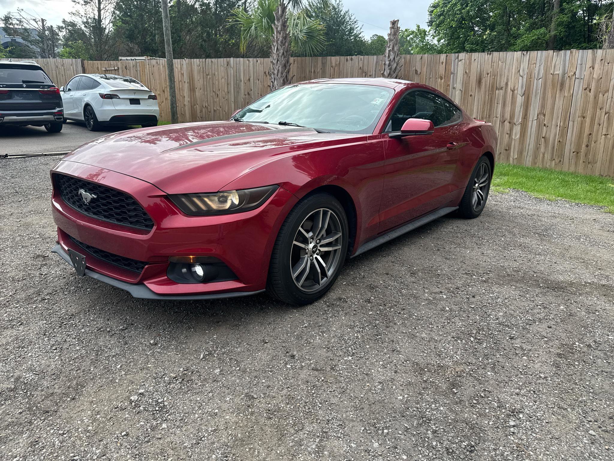 Used 2016 Ford Mustang Premium w/ Equipment Group 201A RWD image 3