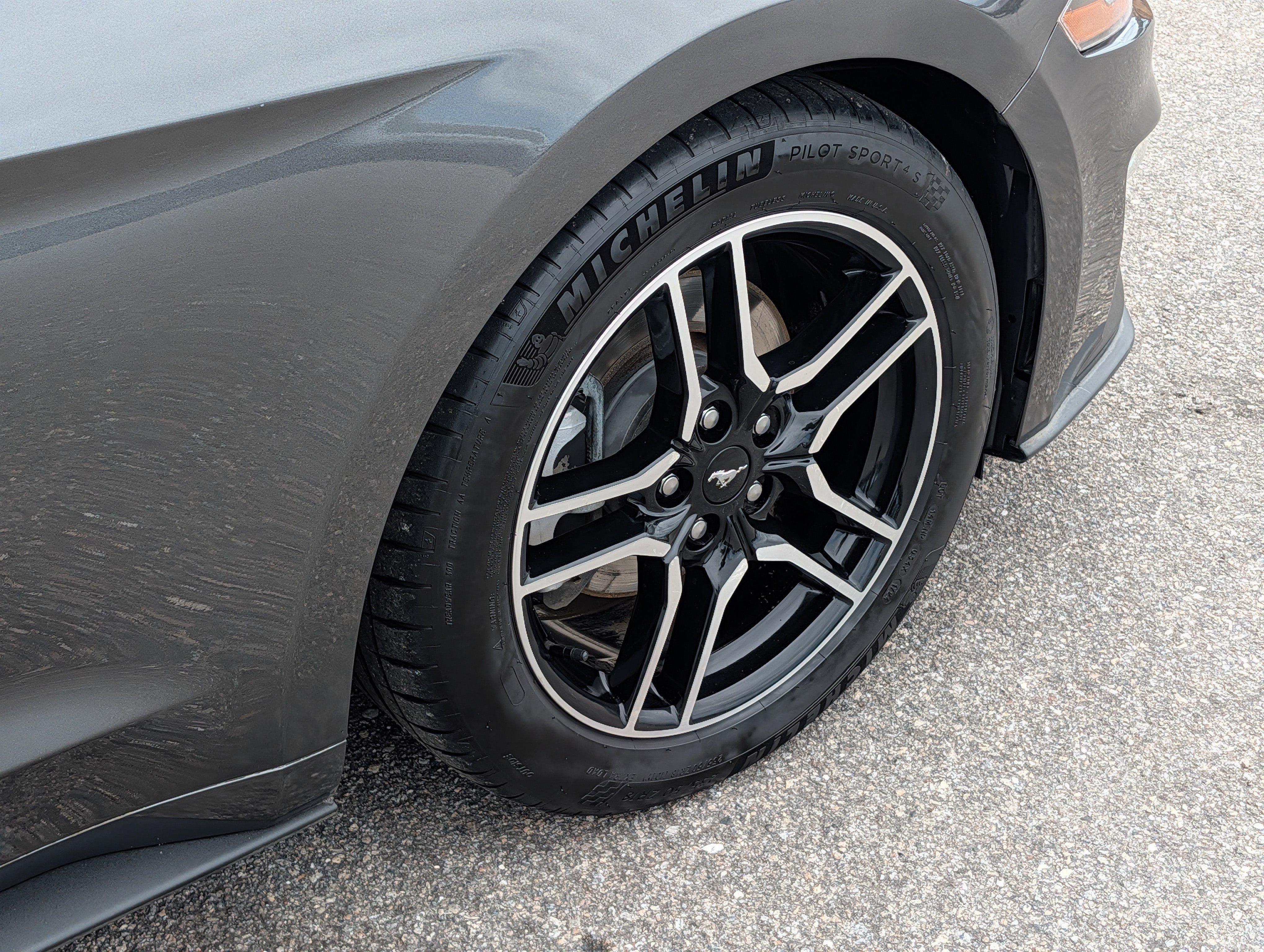 Certified 2018 Ford Mustang Premium RWD image 12
